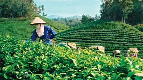 Chấm điểm loạt “green flags” - Cảm hứng video marketing từ Hotspot Matrix_Sự kiện Ma trận điểm nóng